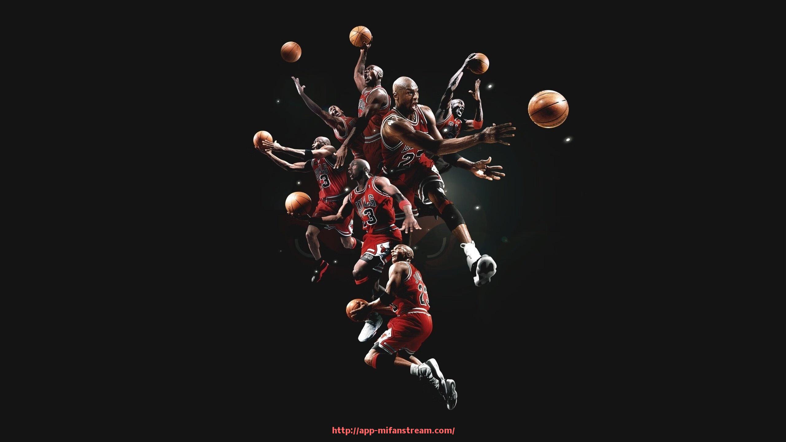 秘饭直播-深蹲保护健身器材的设计原理及使用效果