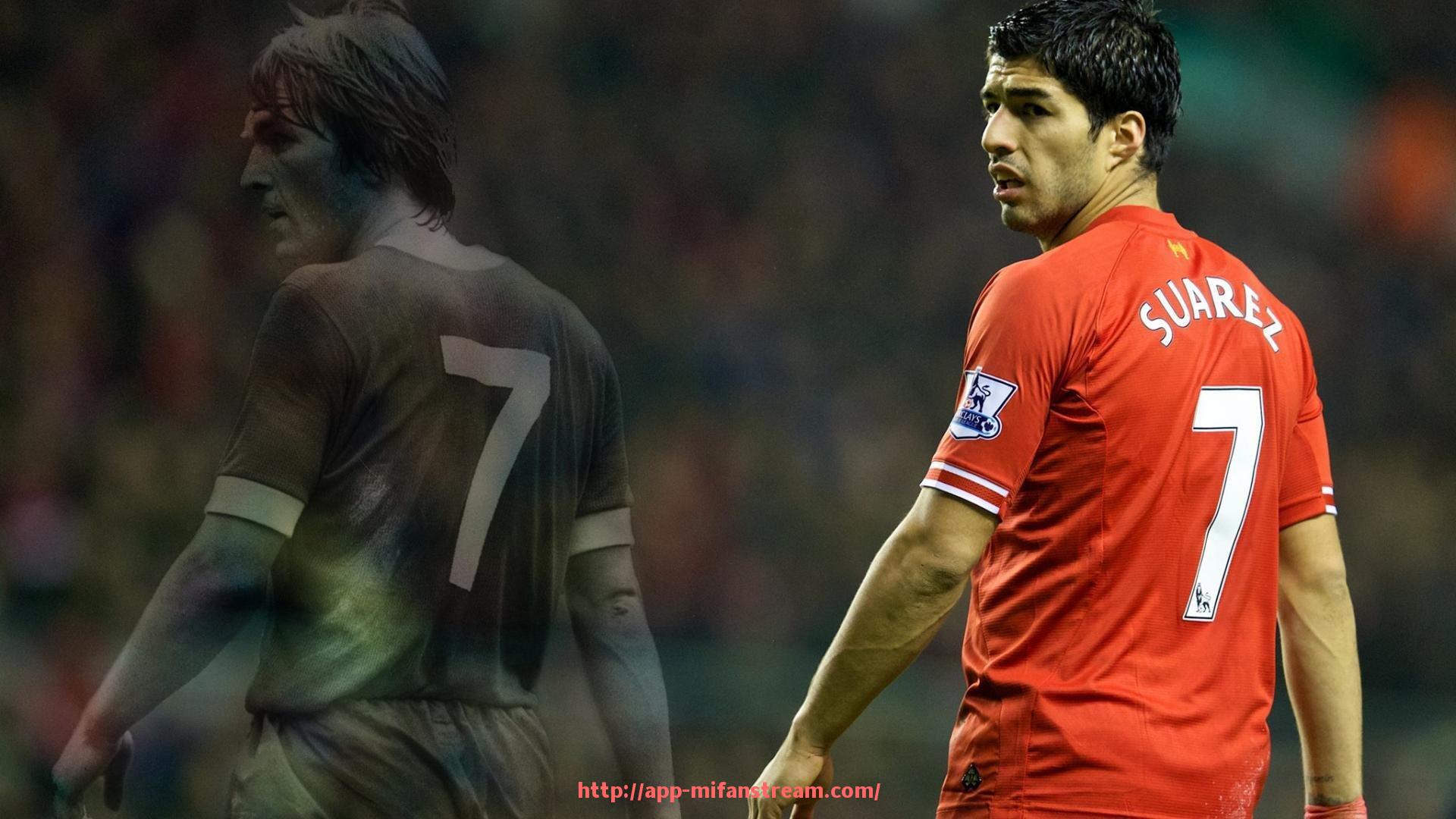 秘饭直播-广州为何缺少CBA球队？城市体育资源与政策解读